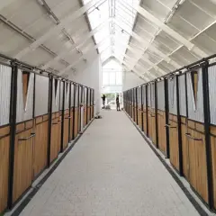 Nowoczesna stajnia dla konia z rzędami boksów, jasnym dachem i oświetleniem.