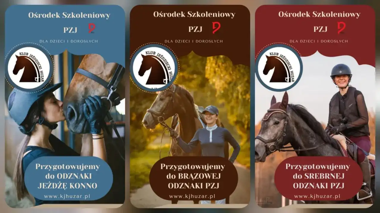 Odznaka Jeżdżę Konno - wymagania, egzamin i koszt