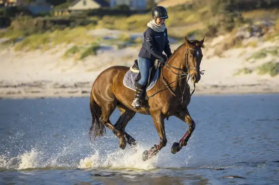 Ile kalorii spala jazda konna - Stęp, kłus i galop. Oblicz wynik
