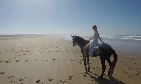 Konie berberyjskie na piaszczystej plaży, kobieta w białej sukience siedzi na koniu, ocean w tle.