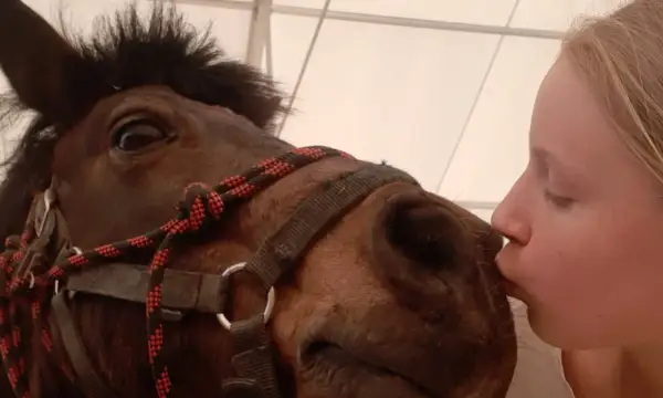 Dziewczynka całuje konia w pysk. To urocze horse play, pełne czułości i radości.