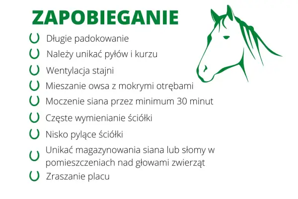 Zadbaj o zdrowie koni: zapobieganie chorobom układu oddechowego poprzez odpowiednią wentylację, czystą ściółkę i unikanie kurzu.